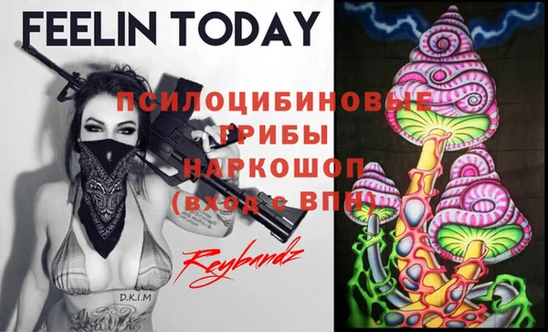 spice Новокубанск