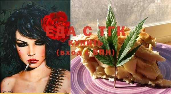 первитин Новодвинск