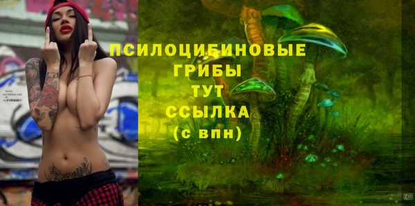 каннабис Новозыбков