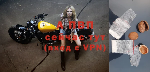 первитин Новодвинск