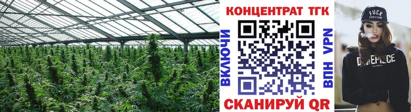 ТГК концентрат  Купить закладки  Алагир 