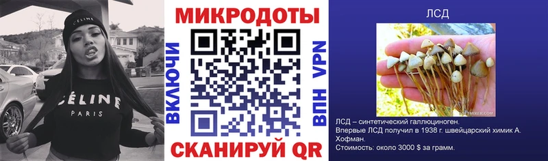 Псилоцибиновые грибы ЛСД  Купить закладки  Алагир 