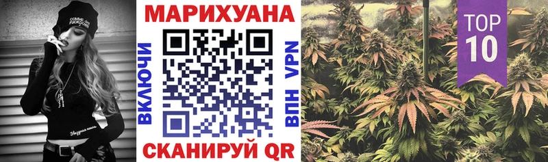 Бошки марихуана ГИДРОПОН  Купить  Алагир 